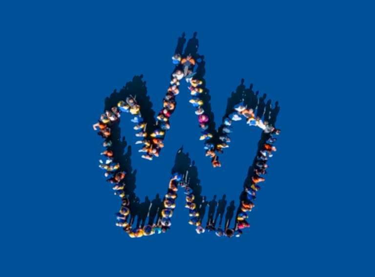 Wichard group - team